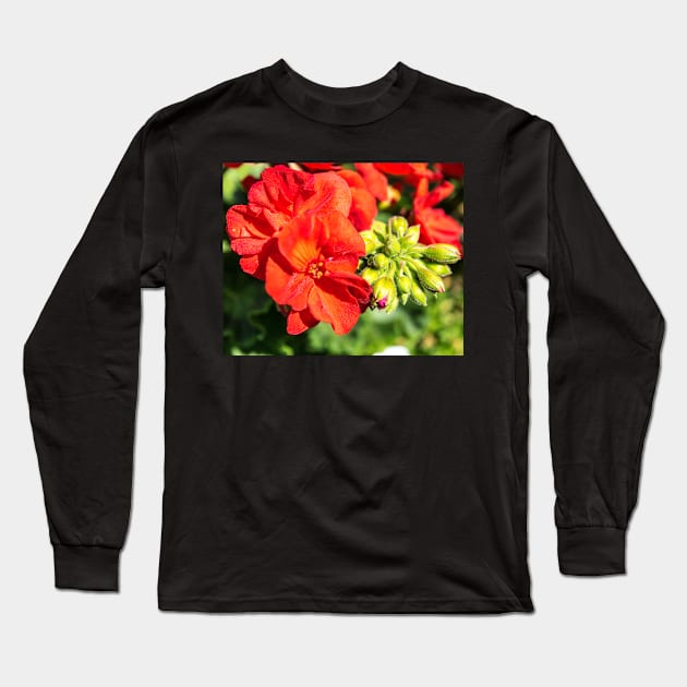 Summer flower colours Long Sleeve T-Shirt by CanadianWild418